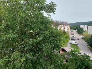 a view of a street with cars parked on the road at Apartman Buba in Krapinske Toplice