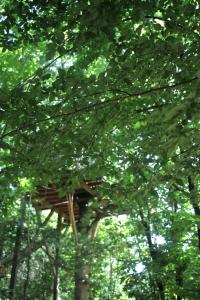 una casa en el árbol en medio de los árboles en Ô Bois Dormant, en Lempzours