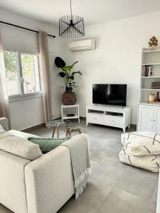 Μια τηλεόραση ή/και κέντρο ψυχαγωγίας στο Charmante maison de ville avec jardin, terrasse et terrain de pétanque +26 φωτογραφίες