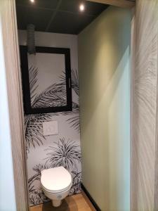 a bathroom with a toilet and a mirror at Chez Enzo in La Bourboule