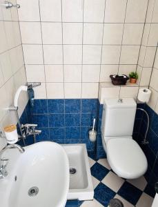 a bathroom with a white toilet and a sink at Bay Holiday Hotel & Spa in Karavómilos