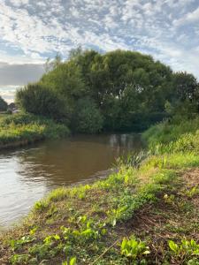 a river with trees and bushes next to a field at Devon Tipi Camp And Glamp in Stoke Canon