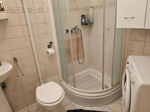 a bathroom with a shower with a toilet and a sink at Apartman u Velikoj Gorici Željko in Velika Gorica