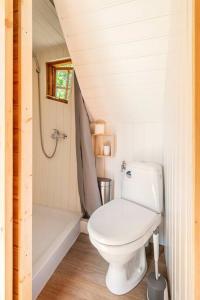 a bathroom with a toilet and a bath tub at Au pied du frêne in Herzeele