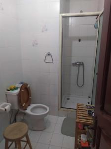 a bathroom with a toilet and a shower at Meadow Sweet in San Ġwann