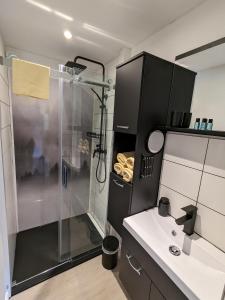 a bathroom with a shower and a sink at Ferienhaus Tinyhouse21 Wasserkuppe in Gersfeld