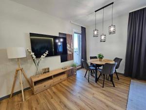 TV a/nebo společenská místnost v ubytování Apartament Natura Iława