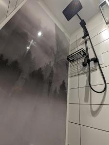 baño con ducha y habitación nebulosa en Ferienhaus Tinyhouse21 Wasserkuppe en Gersfeld