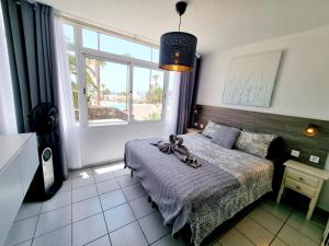Postel nebo postele na pokoji v ubytování Luxury Apartamento Luz de Mar Complejo Playa Roca