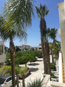 a group of palm trees in a parking lot at Il Rifugio Gallipoli Baia verde in Gallipoli