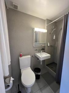 a bathroom with a white toilet and a sink at Auberge d antan du Lion d Or in Le Locle