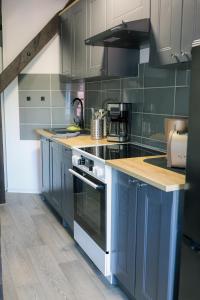 a kitchen with stainless steel appliances and blue cabinets at Pension Hilges im Herzen der Altstadt in Schwedt