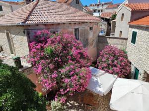 Zahrada ubytování Guest House Adria