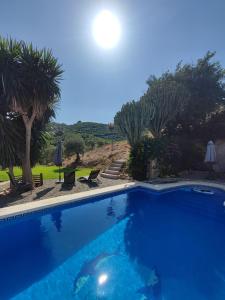 una piscina azul con palmeras en el fondo en Garden Apartment, Cortijo Fruitful Hills, en Coín