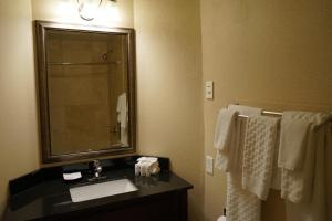 Vannituba majutusasutuses Wingate by Wyndham Bellingham Heritage Inn