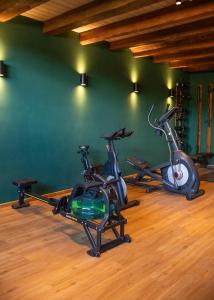 Fitness centrum a/nebo fitness zařízení v ubytování Hotel Hof Kirchhorst
