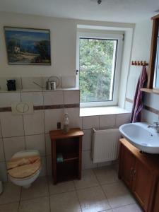 a bathroom with a sink and a toilet and a window at Mitten in der Natur, ganz nah bei Dresden. in Bannewitz