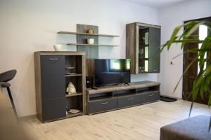 Apartmani Vukman في ديلنايس: غرفة معيشة مع مركز ترفيهي مع تلفزيون