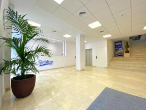 a potted plant in the middle of a lobby at Rentalmar Blue Beach Apartments & Pool in Salou