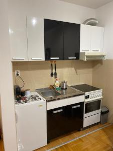 Kuchyň nebo kuchyňský kout v ubytování Apartman Breza 3 + 8 fotografií