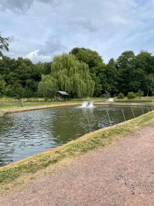 un estanque con una fuente en un parque en Pension zum Landhaus, 