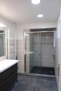 ein Bad mit einer Dusche und einer Glastür in der Unterkunft Maison confortable à Ansouis dans Le Luberon in Ansouis