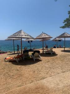 Gallery image of LOVRO Studio Apartement with terrace Kampor, Rab in Kampor