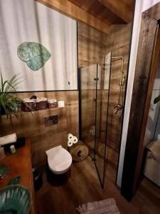 a bathroom with a toilet and a glass shower at Pod Aniołem in Świerzawa