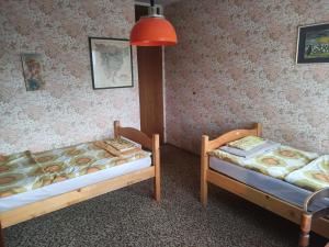 two twin beds in a room with a lamp at Apartma Čampa in Kočevje