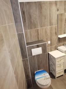 een badkamer met een toilet en een wastafel bij Studio D&D in Vrh