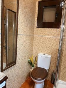a bathroom with a toilet with a wooden seat and a shower at Finca con dos casas rurales in Randufe