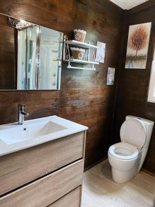 a bathroom with a white sink and a toilet at Finca con dos casas rurales in Randufe