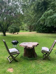 a table and two chairs with a grill and a tree stump at The Cottage Hankerton Priory in Hankerton