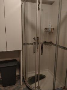 a shower with a glass door in a bathroom at Apartamento Lekeitio, Garaje y WIFI in Lekeitio