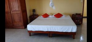 um quarto com uma cama com almofadas vermelhas em DINO 2 em Trou-aux-Biches