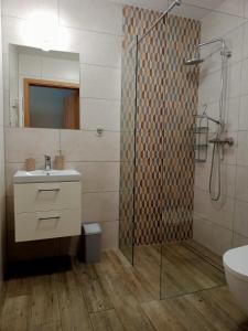 a bathroom with a shower and a sink and a toilet at Wetlina Poza Trasą in Wetlina