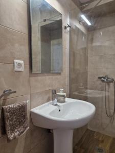 La salle de bains est pourvue d'un lavabo blanc et d'une douche. dans l'établissement Kamche apartment, à Skopje