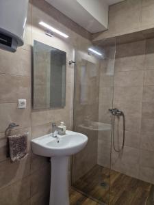 La salle de bains est pourvue d'un lavabo et d'une douche en verre. dans l'établissement Kamche apartment, à Skopje
