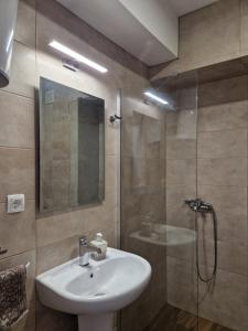 a bathroom with a sink and a glass shower at Kamche apartment in Skopje