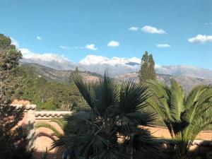 a view of the mountains from a house with a palm tree at Las Palmeras in Carhuaz