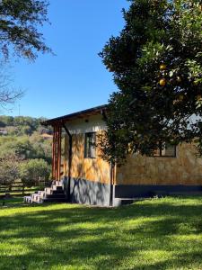 a house with a tree in front of it at Casa de Campo Fichtelberger Hohenau in Hohenau +6 photos