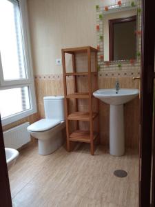 La salle de bains est pourvue de toilettes et d'un lavabo. dans l'établissement Bonito Apartamento en Aviles, à Avilés