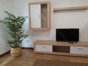 a living room with a tv and a potted plant at Bonito Apartamento en Aviles VUT 5050 AS in Avilés
