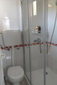 a bathroom with a toilet and a shower at Apartments with a parking space Kornic, Krk - 15293 in Kornić