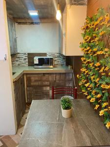 uma cozinha com uma mesa com uma planta em Blue House - cerca del consulado americano em Guayaquil