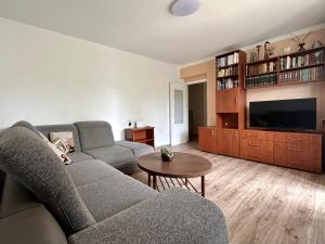 a living room with a couch and a tv at Riga Mezaparks Apartment in Rīga