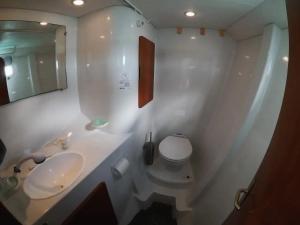 bagno bianco con lavandino e servizi igienici di Disney Orlando Catamaran Accommodation a Vero Beach