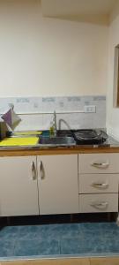 a kitchen with a sink and a counter at Patagonia Salvaje Hostel in El Calafate