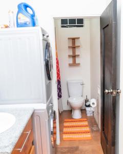 San JuanにあるFrancis Nook Bourg Mulatresse Roomのトイレと洗面台のある小さなバスルーム +9枚の写真