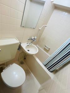a bathroom with a toilet and a sink and a mirror at SUNPIA WOMBLE GATE l 大滝町 in Kusugaurachō